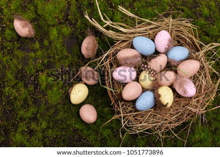 A lot of quail eggs with feathers in a bird's nest on natural green grass background, top view.