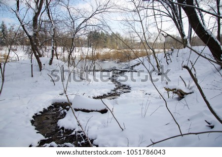 Winter creek in a forest