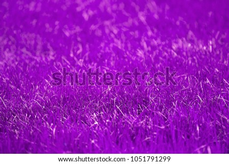 Trendy Ultra Violet background made of fresh spring grass. Abstract purple backdrop.