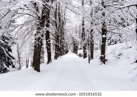 Photo of snowy landscape covered with snow and road in winter