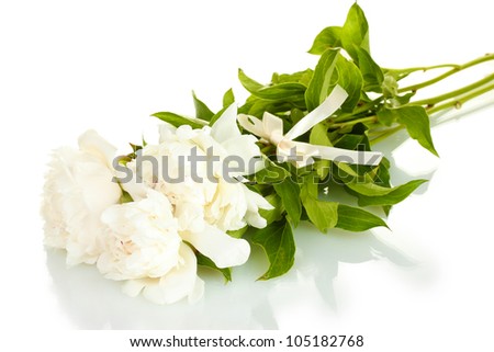 beautiful peonies with bow isolated on white