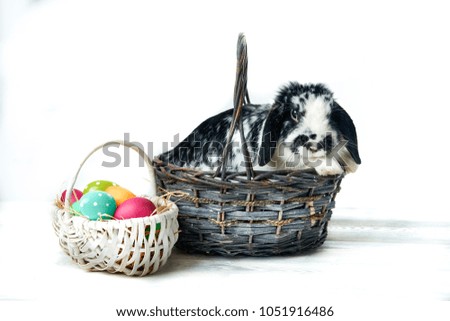 Easter bunny with eggs and flowers