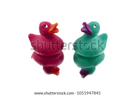 Two colorful rubber ducks stock images. Rubber duck on a white background. Rubber duck reflection