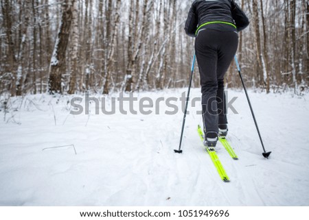 Image from back of skier with sticks
