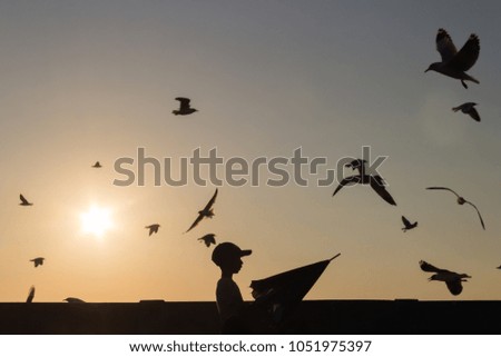 Silhouette Standing Boy with The Umbrella and Flying Seagulls on Sunset