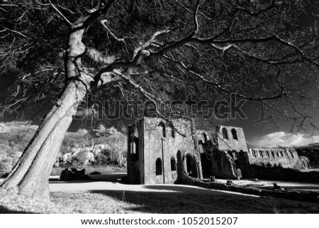 Furness Abbey Monastery, Lakedistrict. Infrared Photograph.