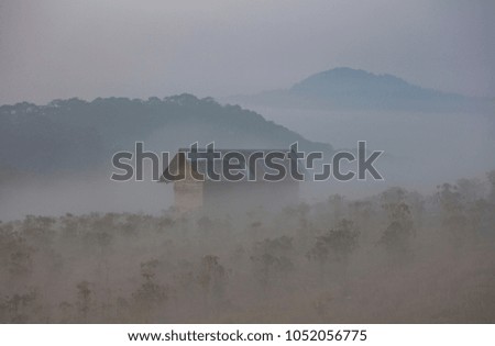 House in coffee plantation in mist