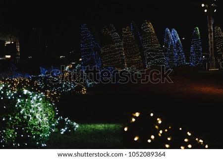 Fairy lights in tree