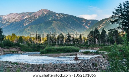 Mountain river and forest trees on the sunset, Altai Mountains, Kazakhstan Royalty-Free Stock Photo #1052101055