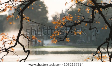 Branch of yellow leaves with Turtle Tower (Rua Tower) on the foundation of Ho Guom Lake, the center of Hanoi, beautiful scenery in the spring.