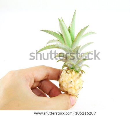 The little pineapple on white background