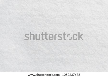 Short white wool background texture, white surface