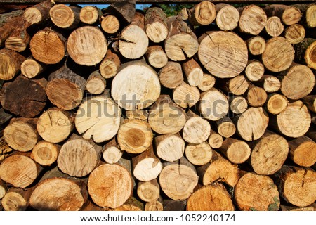 stacked logs of wood with texture 