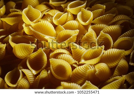 Raw uncooked dry Conchiglioni italian pasta. shells shaped