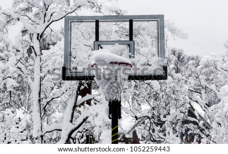 A basketball hoop is full of snow with trees covered in snow in the background after a spring snow storm in Long Island, New York.