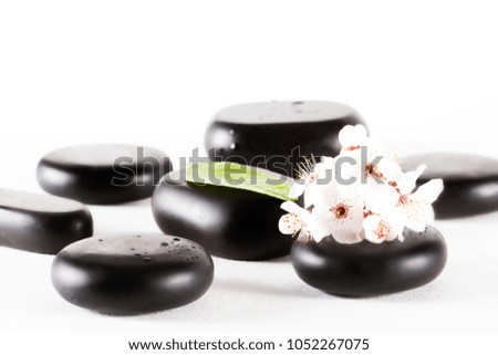 stones for massage lie on white background