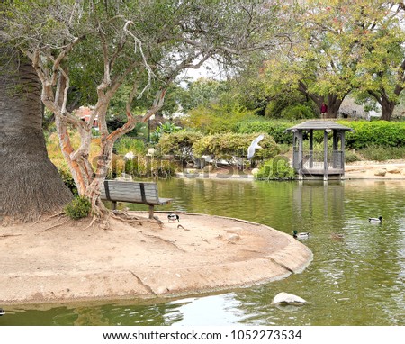 Botanic garden bench and scenic pond in Santa Barbara California.