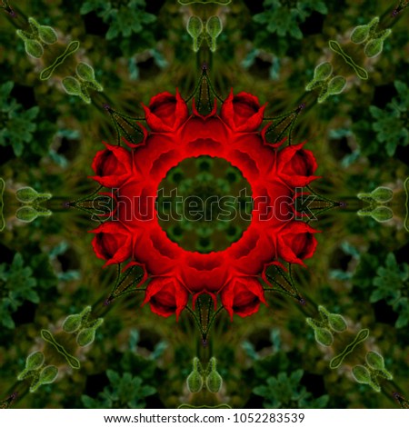 Abstract background of floral pattern of a kaleidoscope