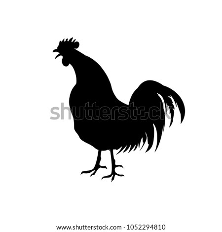 Rooster crowing silhouette. Vector illustration isolated on white background