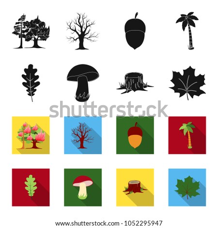 Oak leaf, mushroom, stump, maple leaf.Forest set collection icons in black,flet style vector symbol stock illustration web.
