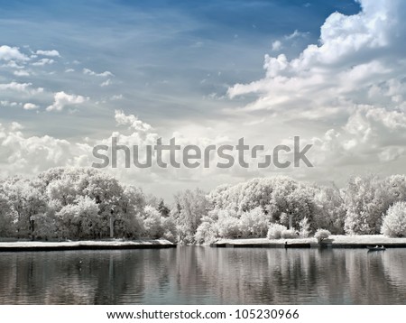Park Kuskovo. Large Palace pond