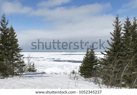 Rural winter landscape with pine trees. Snow and ice covered Lake Superior. Upper Peninsula Michigan.