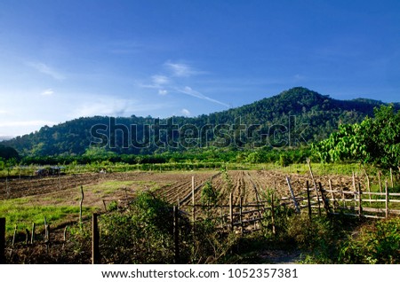 A landscape picture of the farm and mountain on the back of it with some blue sky