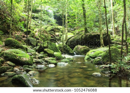 green forest and small waterfall background at Phukradung National Park of Thailand