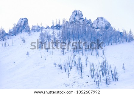 Winter in Mongolia