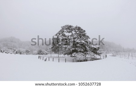 Snow landscape of Mt.