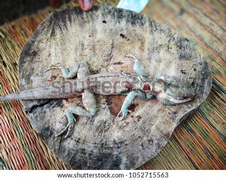 Dead lizard on wood plate.Wildlife of Asia named chameleon lie on floor.Local food of asian.