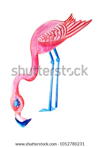 illustration of an exotic bird. Figure pink flamingo in colored pencils.