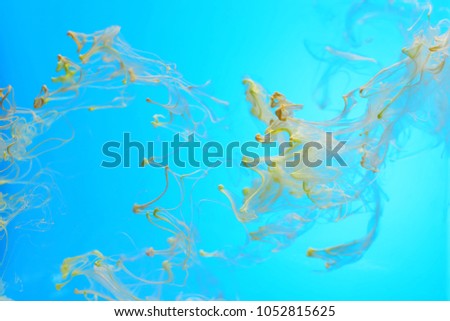 Abstract background of dissolving fluids on sky blue background.