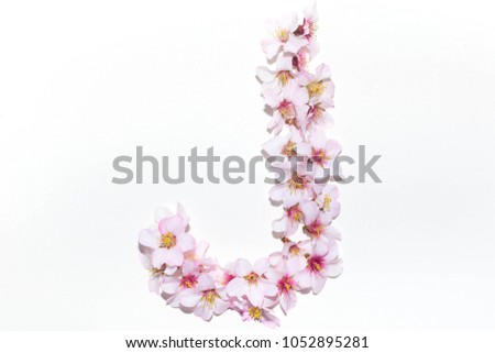 Letter of the English alphabet made from flowers on a white background