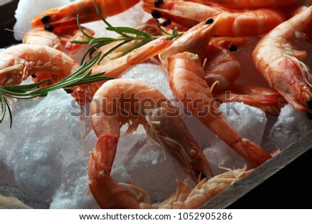 Raw fresh Prawns Langostino Austral. shrimp seafood with lemon and spices