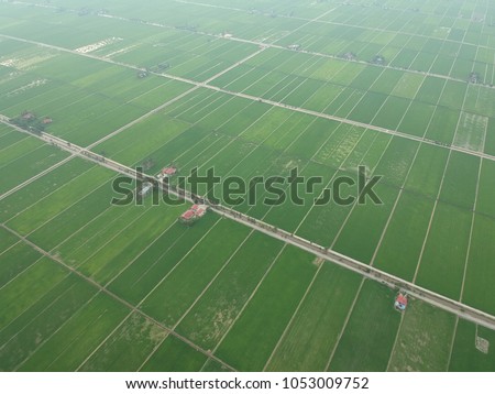 Aerial view of the beautiful green paddy field during the growing season of rice started in Tanjung Karang, Selangor, Malaysia