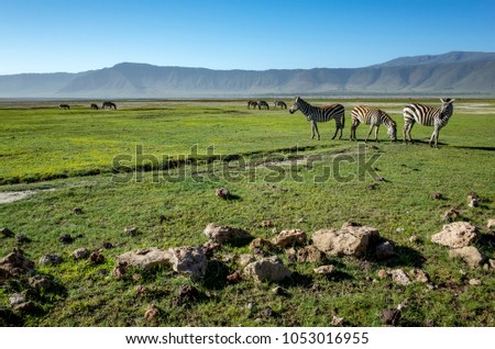 Ngorongoro Crater safari