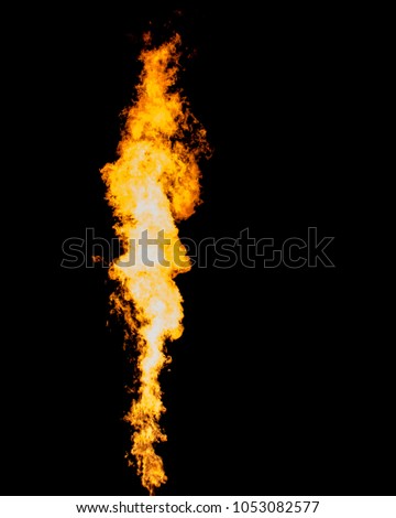 Isolated flame column. Fire tongue goes from gas burner. Royalty-Free Stock Photo #1053082577