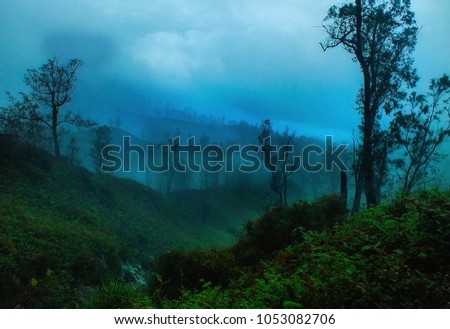 Cold and misty morning at Ijen Mountain, Banyuwangi