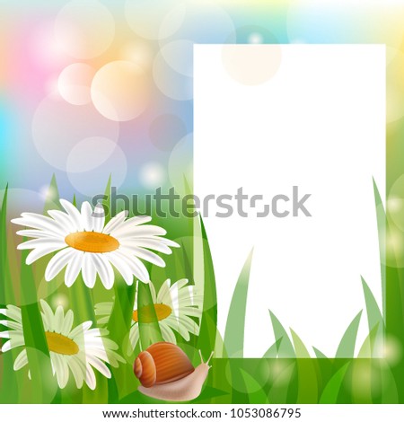 Vector spring background with flowers of chamomile and a snail as a template for design Spring frame for a photo, invitation, grass, forest, bright colorful background set. grid, realistic illustratio