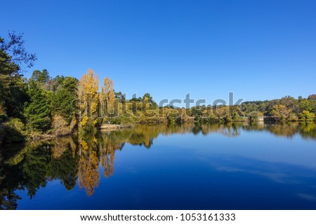 Autumn shot of golden yellow trees around lake against pure blue sky. Daylesford, VIC Australia. Royalty-Free Stock Photo #1053161333