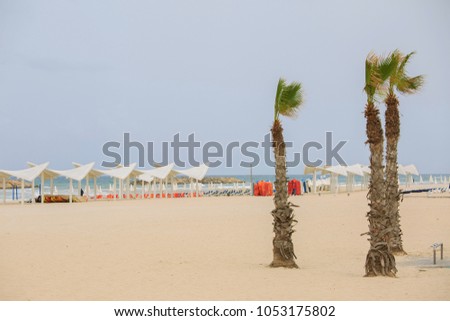 Palm trees on an exotic beach
