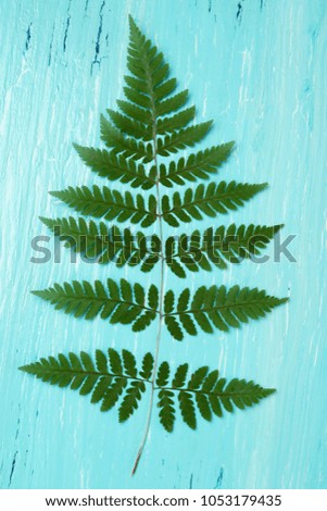 Turquoise oil painted wooden board and fern leaf, toned image