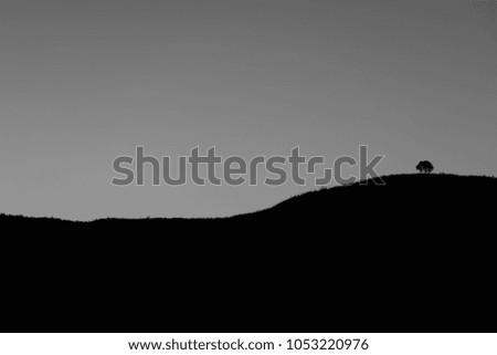 Black and white silhouette of mountain and tree at Doi Pha Tang, Chiang Rai province; Thailand