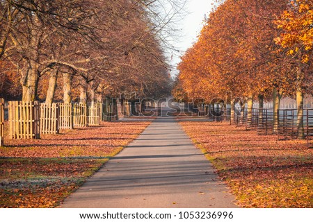 Early morning autumn scene at Bushy Park in London Royalty-Free Stock Photo #1053236996