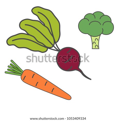 Carrot. Beet. Broccoli. Isolated Vector Illustration.