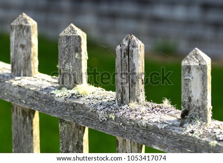 Old White Picket Fence Close Up Abstract