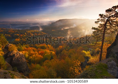 a scenic view of a mountain range during autumn season when the color of the plant change into orange
