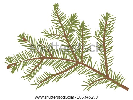 illustration with fir branch isolated on white background