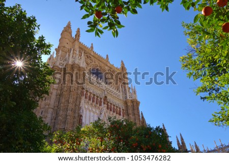 Sunburst through the orange grove trees in the courtyard just outside Seville Cathedral in Spain. Oranges and branches frame the cathedral in background with a nice bright clear blue sky in February.